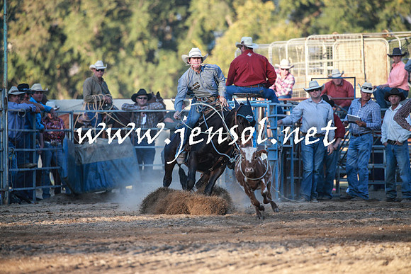 TumutRodeo2016Two_4538