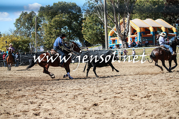 TumutRodeo2016_2339