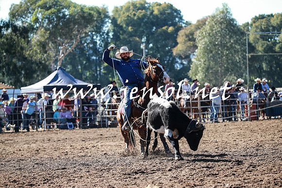 TumutRodeo2016_1446