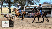 HardenTimed_2595