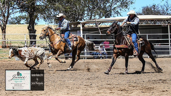 HardenTimed_2595