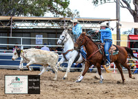 HardenRodeo_2712