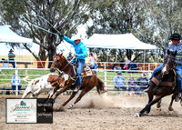 HardenRodeo_2630