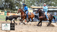 HardenRodeo_2755