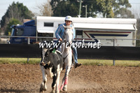 MossValeCampdraft2013_0307
