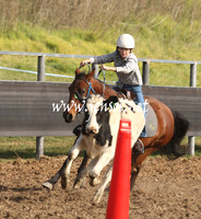 MossValeCampdraft2013_0302