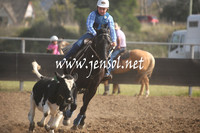 MossValeCampdraft2013_0312