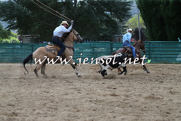 CoomaRodeo2015_1501