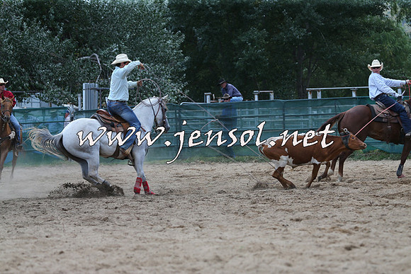 CoomaRodeo2015_1542