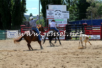 CoomaRodeo2015_0373