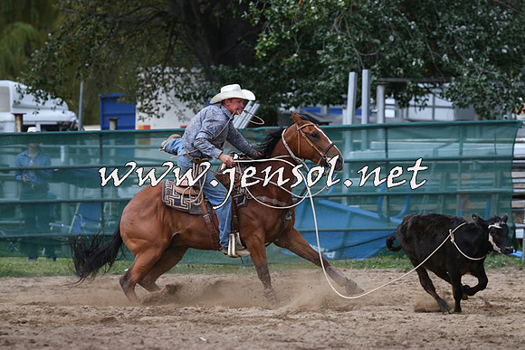 CoomaRodeo2015_2522