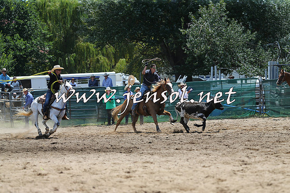 CoomaRodeo2015_0407
