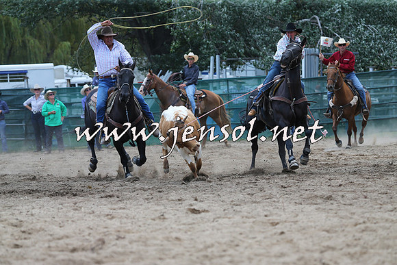CoomaRodeo2015_1551