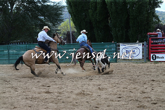 CoomaRodeo2015_1498