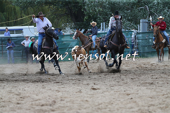 CoomaRodeo2015_1554