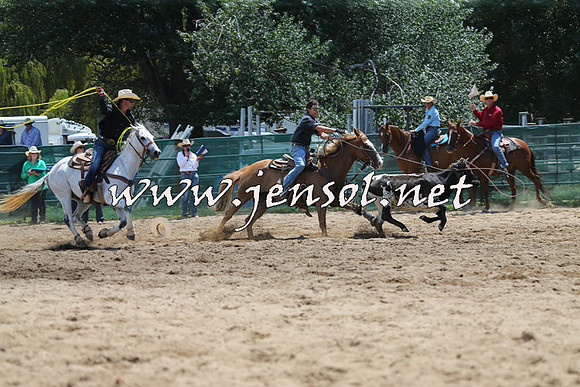 CoomaRodeo2015_0406