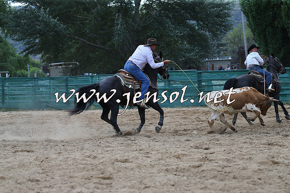 CoomaRodeo2015_1567