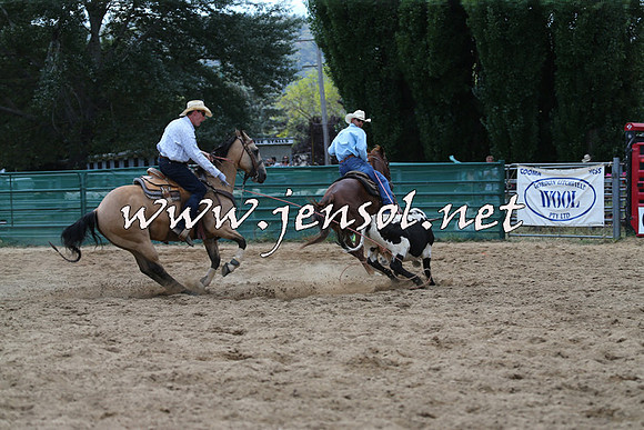 CoomaRodeo2015_1499