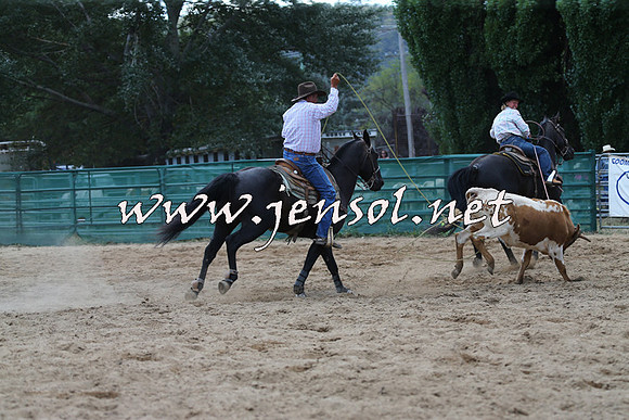 CoomaRodeo2015_1565