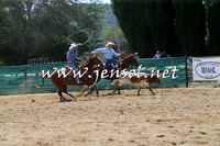 CoomaRodeo2015_0393