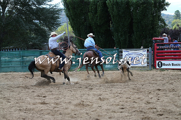 CoomaRodeo2015_1496