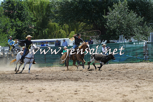 CoomaRodeo2015_0400