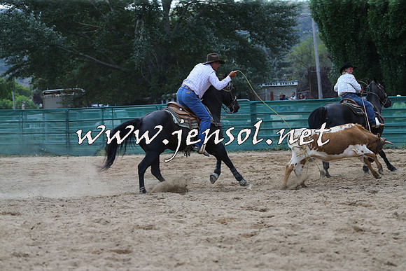 CoomaRodeo2015_1566