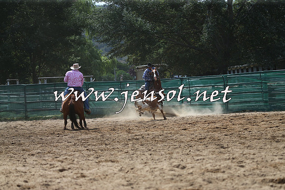 CoomaRodeo2015_1609