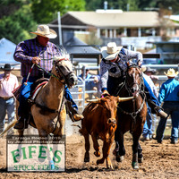 TaralgaRodeo2019_5189