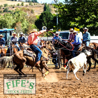 TaralgaRodeo2019_5163