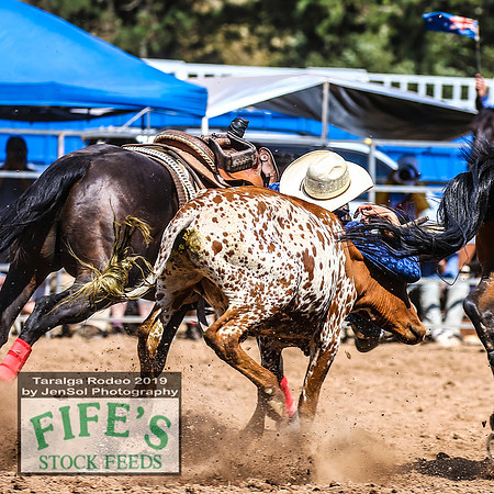 TaralgaRodeo2019_9197