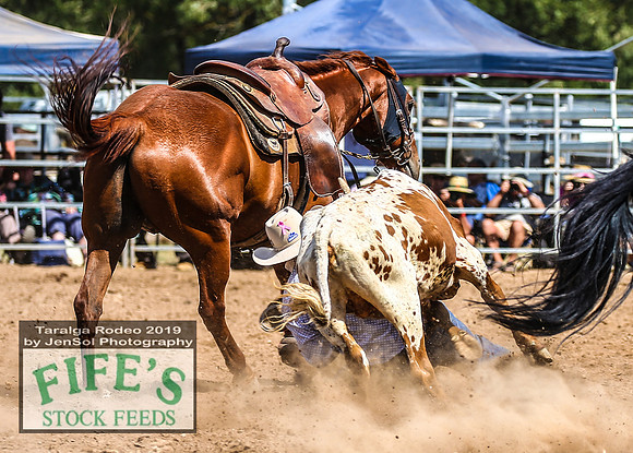 TaralgaRodeo2019_9206