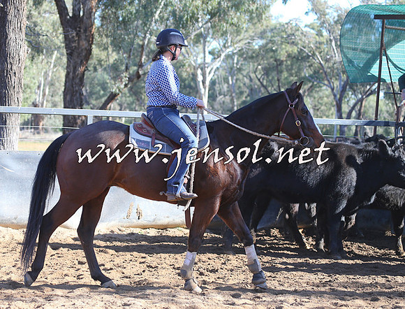 STBHTubbulCampdraft2015_0195