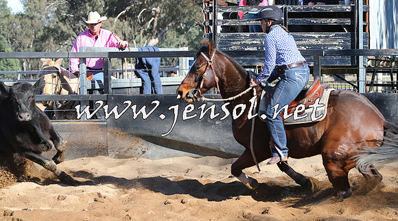 STBHTubbulCampdraft2015_0205