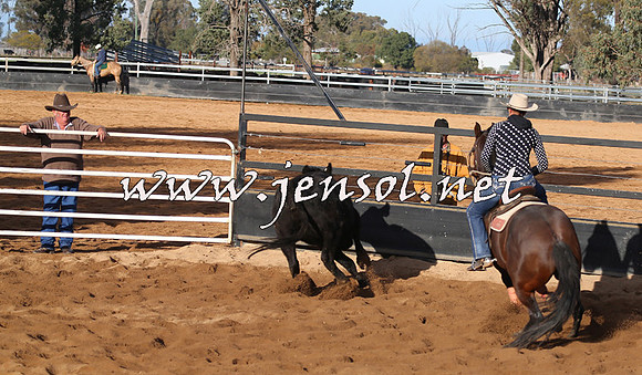 STBHTubbulCampdraft2015_0029