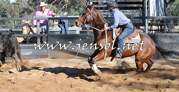 STBHTubbulCampdraft2015_0204