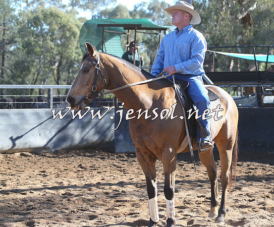 STBHTubbulCampdraft2015_0263