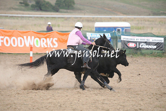 BombalaCampdraft2013Sun_0091