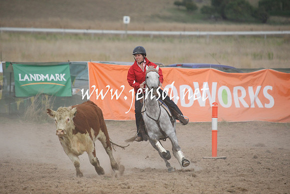 BombalaCampdraft2013Sun_0227