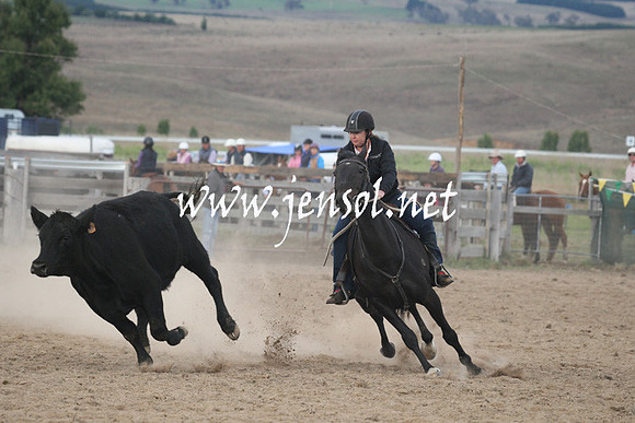 BombalaCampdraft2013Sun_0033