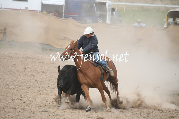 BombalaCampdraft2013Sun_0559