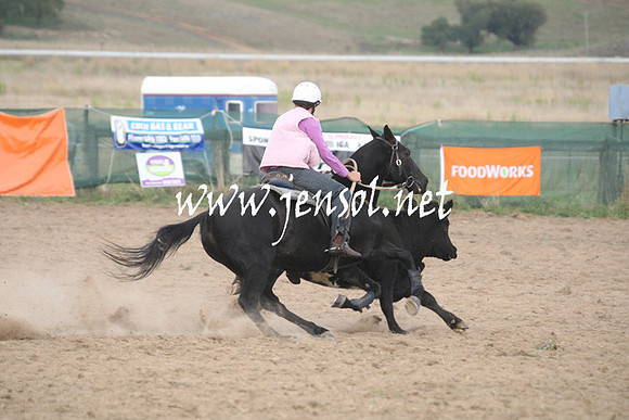 BombalaCampdraft2013Sun_0093