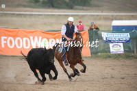 BombalaCampdraft2013Sun_0040