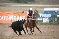 BombalaCampdraft2013Sun_0041