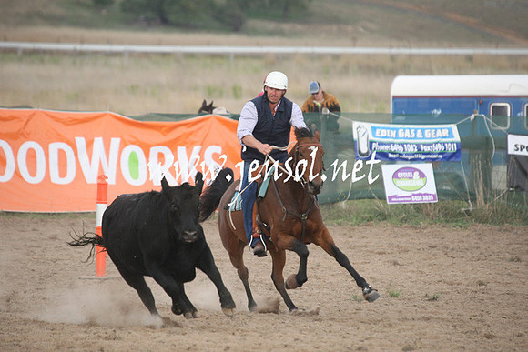 BombalaCampdraft2013Sun_0041