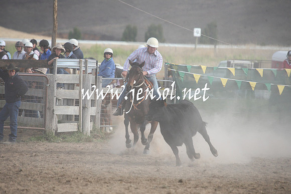 BombalaCampdraft2013Sun_0661