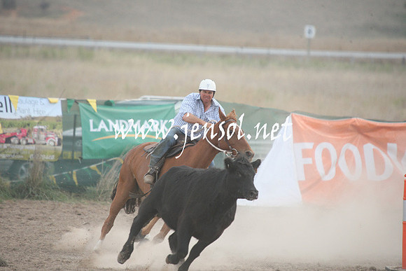 BombalaCampdraft2013Sun_0723