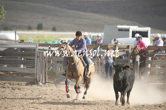 BombalaCampdraft2013Sun_0709
