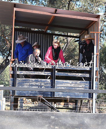 STBHTubbulCampdraft2015_0171
