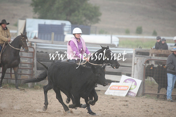 BombalaCampdraft2013Sun_0099